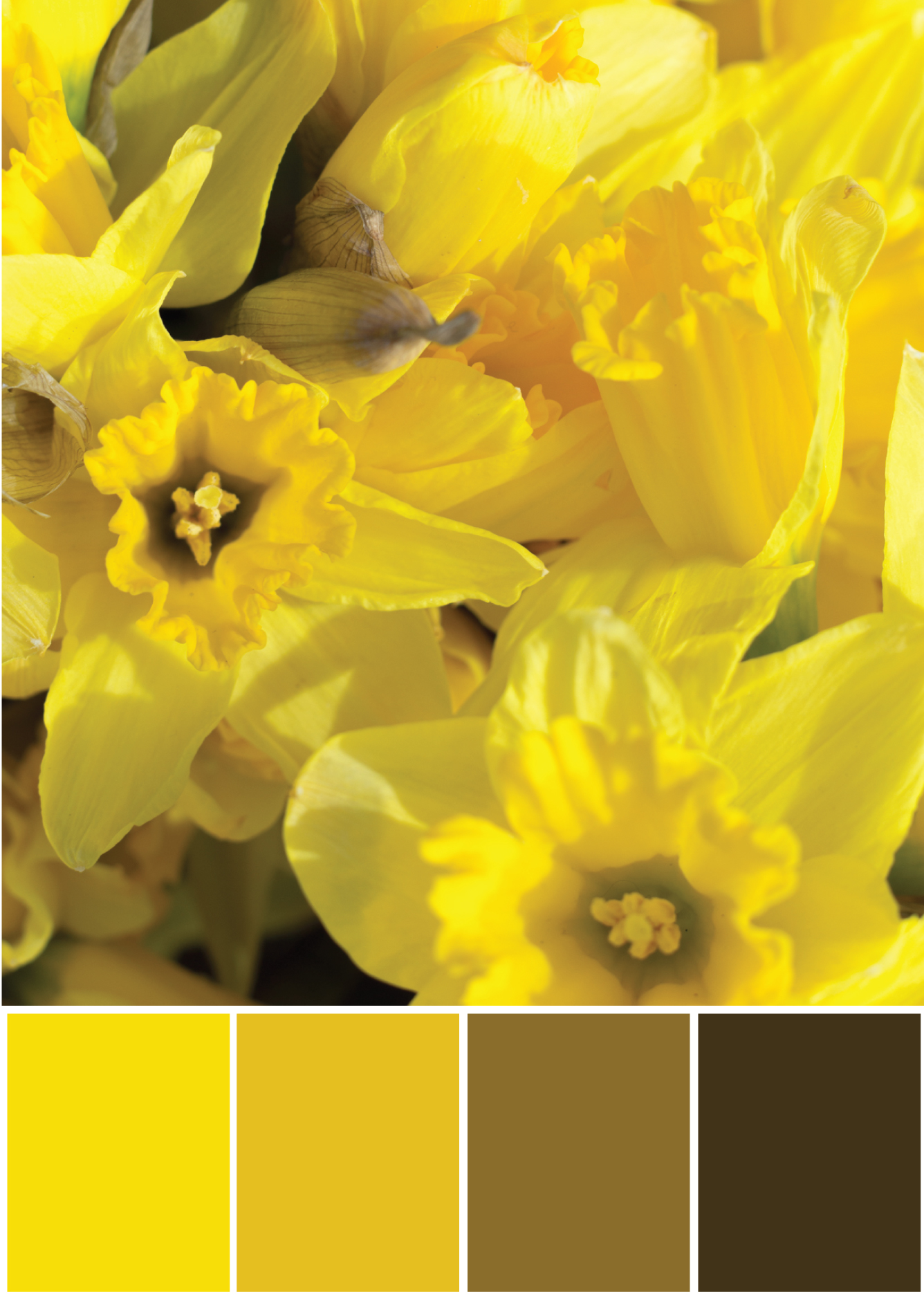 Gelb-braune Farbpalette -Tweed & Greet