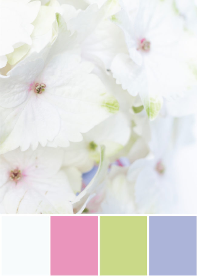 Farbpalette Kombination Weiß, pink, grün, lila - Tweed & Greet