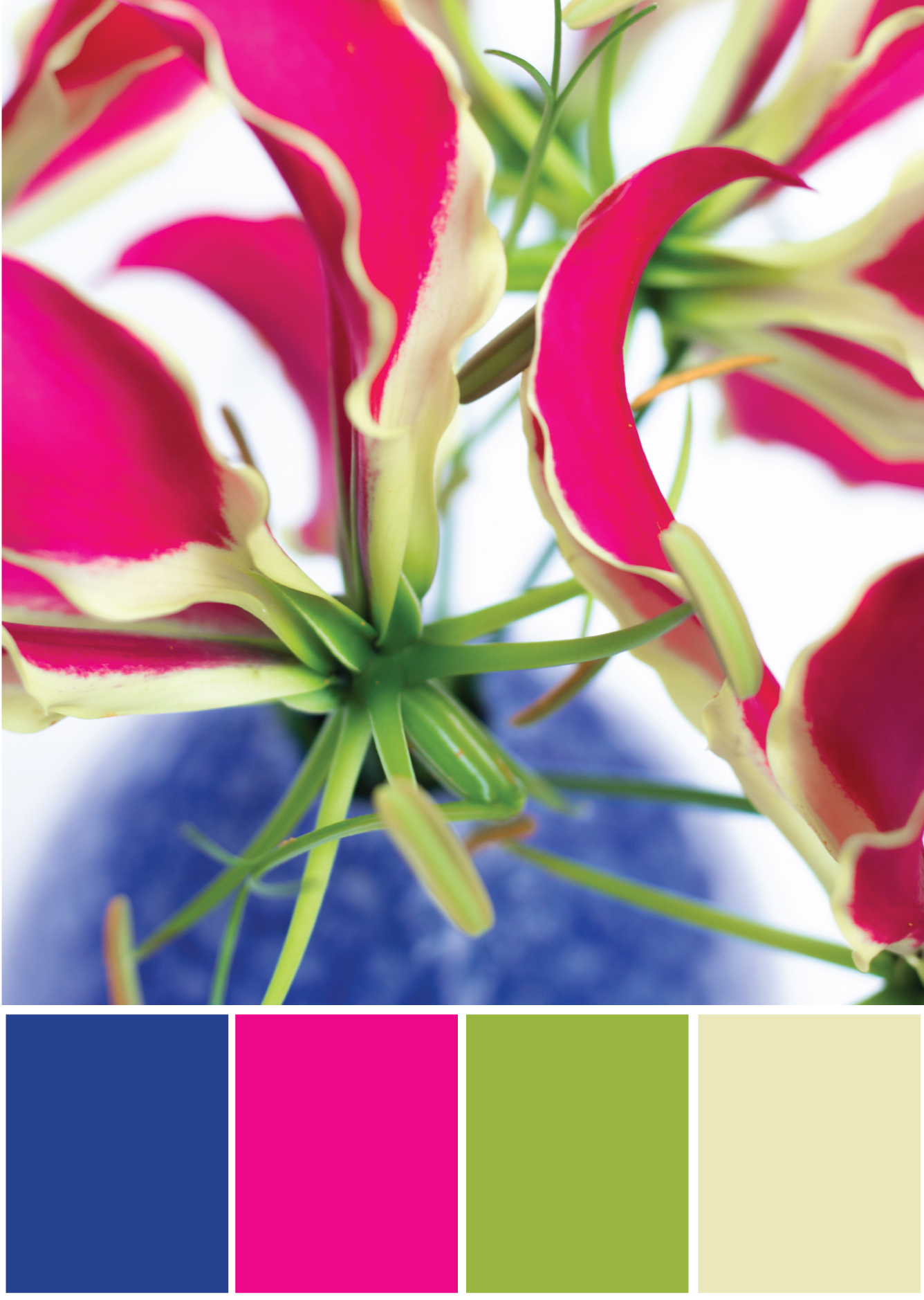 Farbpalette Farbkombination - Blau Pink Grün - Tweed & Greet