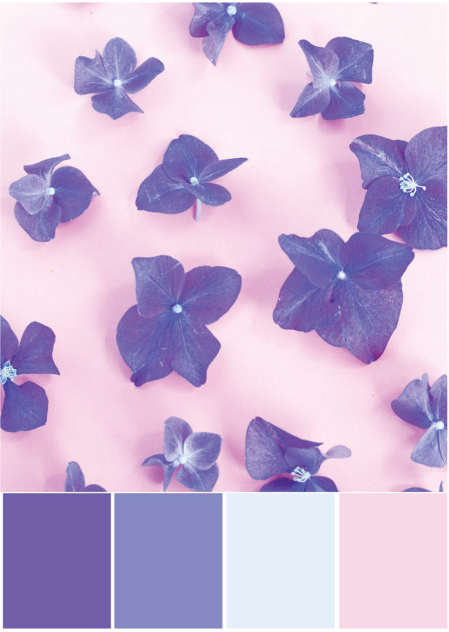 Farbkombinationen Lila Rosa - Farbpalette by Tweed & Greet