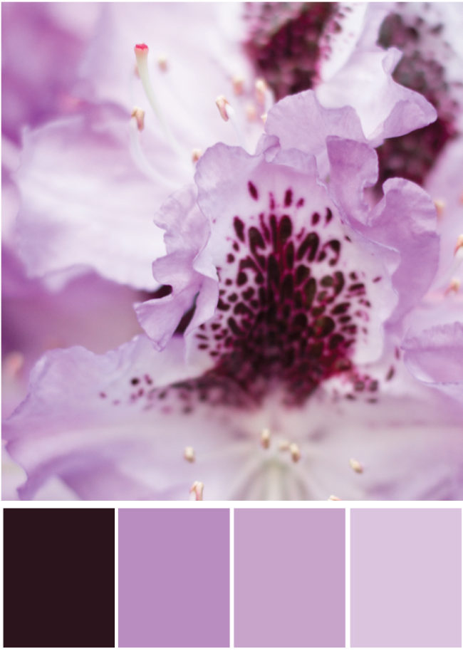 Farbkombinationen Lila - Farbpalette by Tweed & Greet