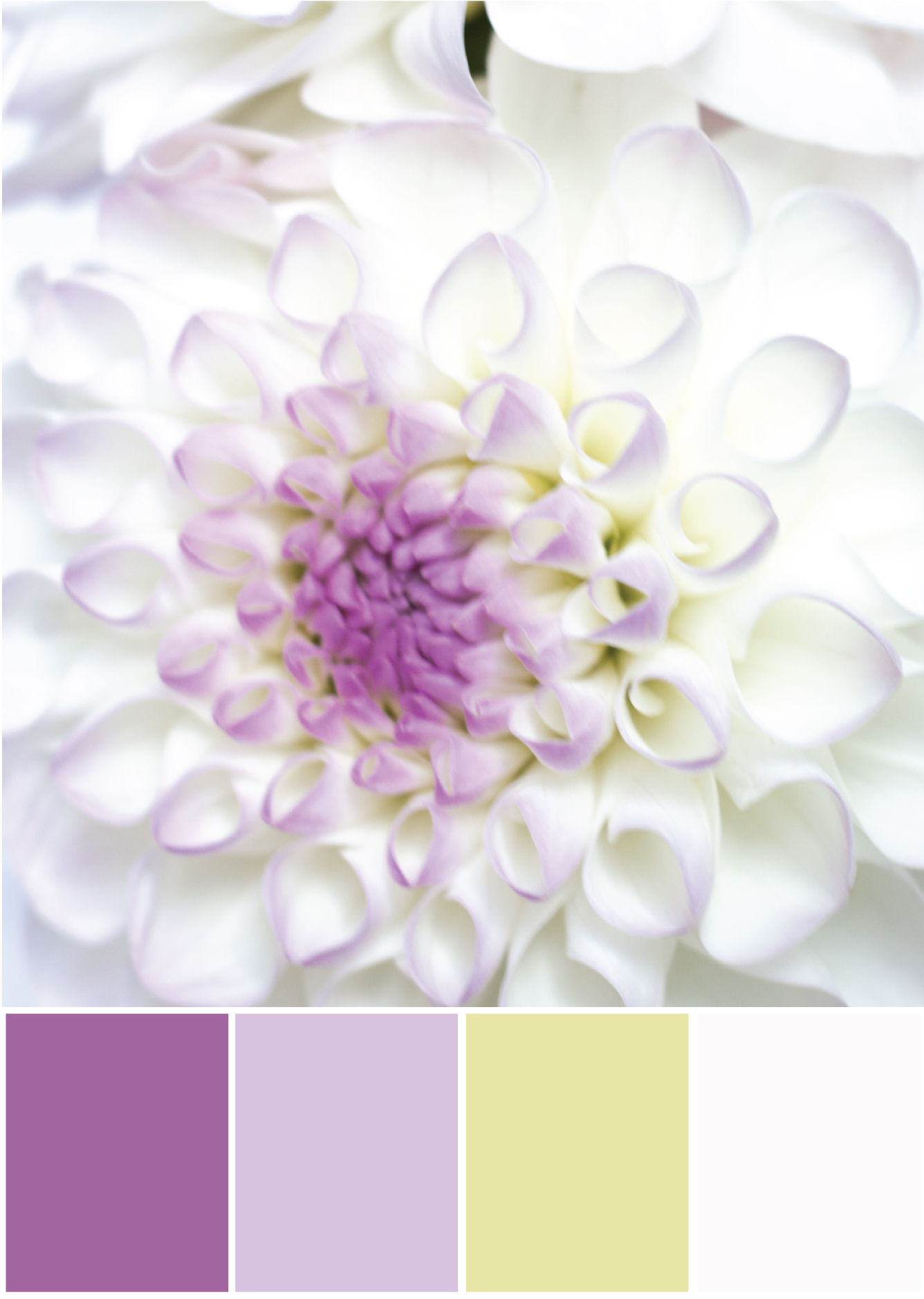 Farbkombinationen Lila Pink - Farbpalette by Tweed & Greet