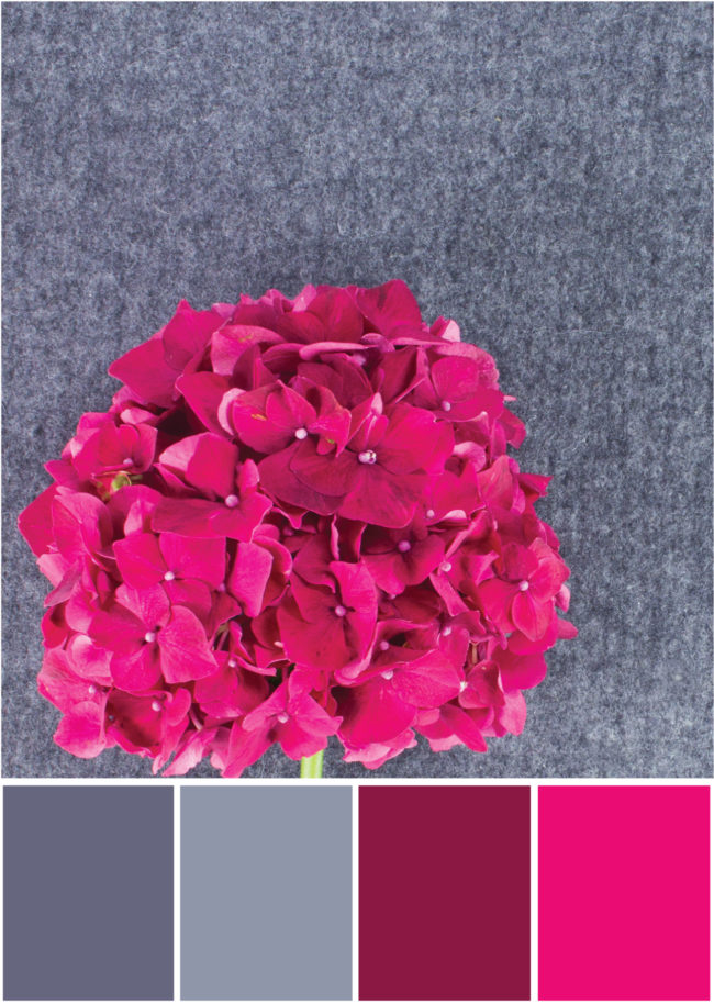 Farbpalette Grau - Pink -Tweed & Greet