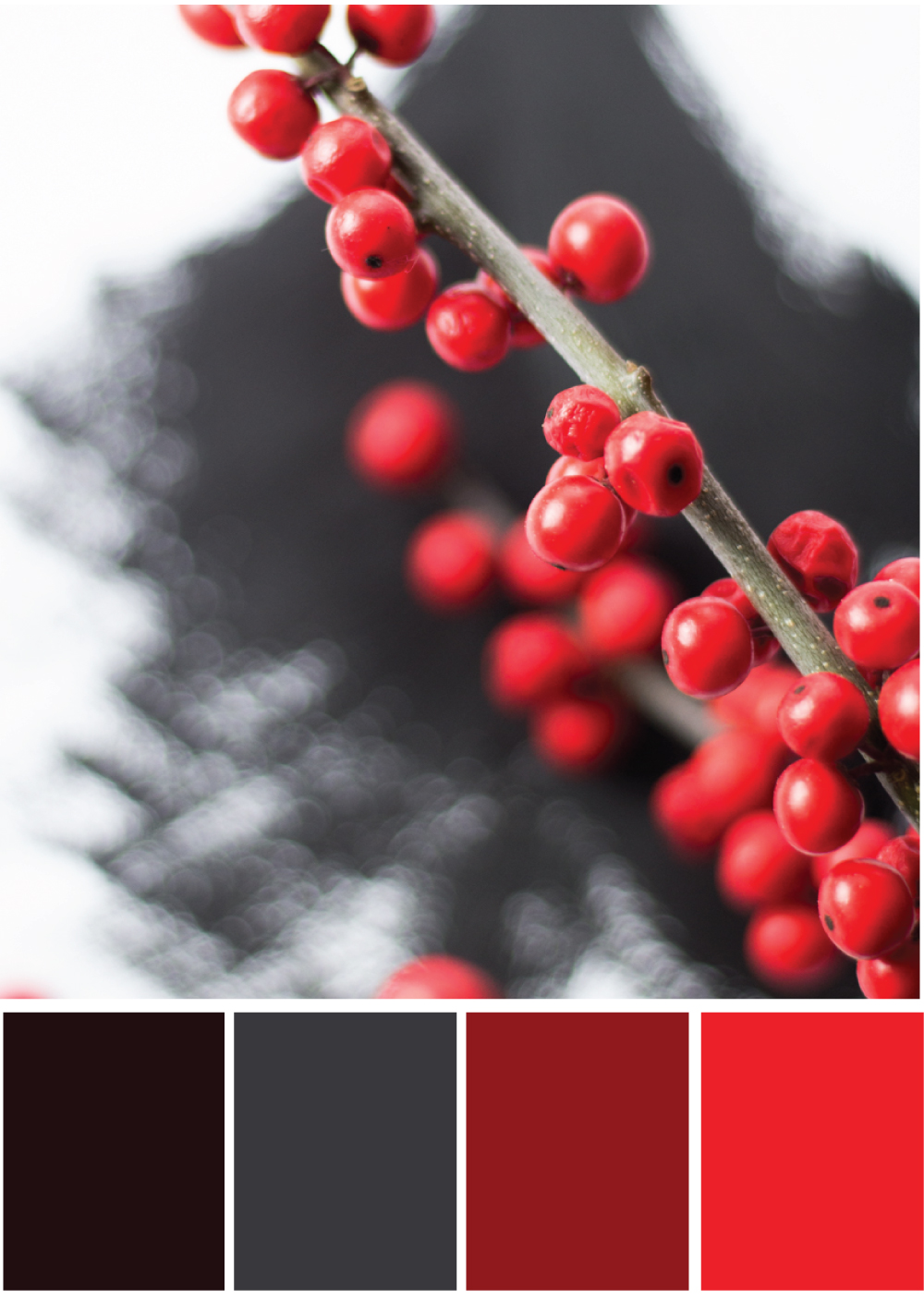 Farbkombination Schwarz Rot - Tweed & Greet